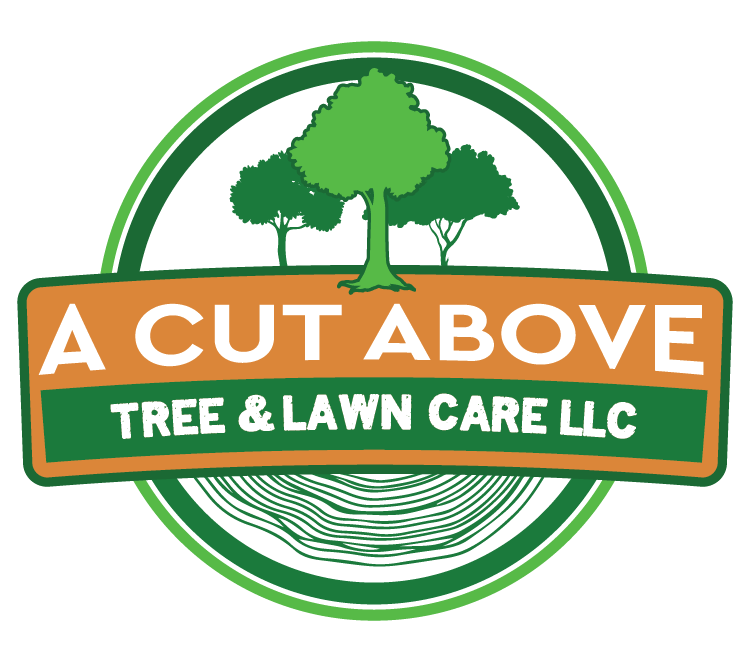 a cut above tree and lawn care